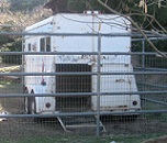 Horse Trailer