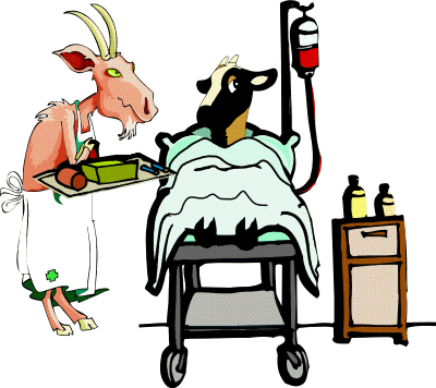 Fainting Goat Guild | FGG Goat Husbandry - Basic Medical Care